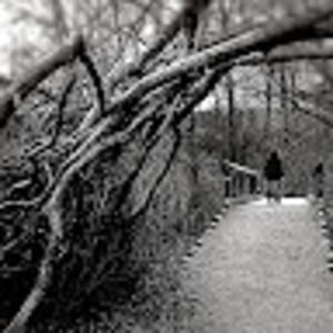 Meet your Posher, Lesley